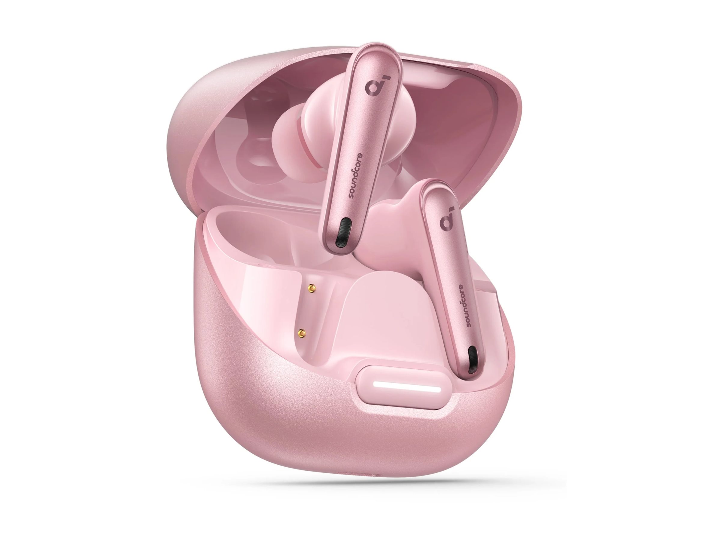 CCS Product Image (Left-angle/2400 x 1800)