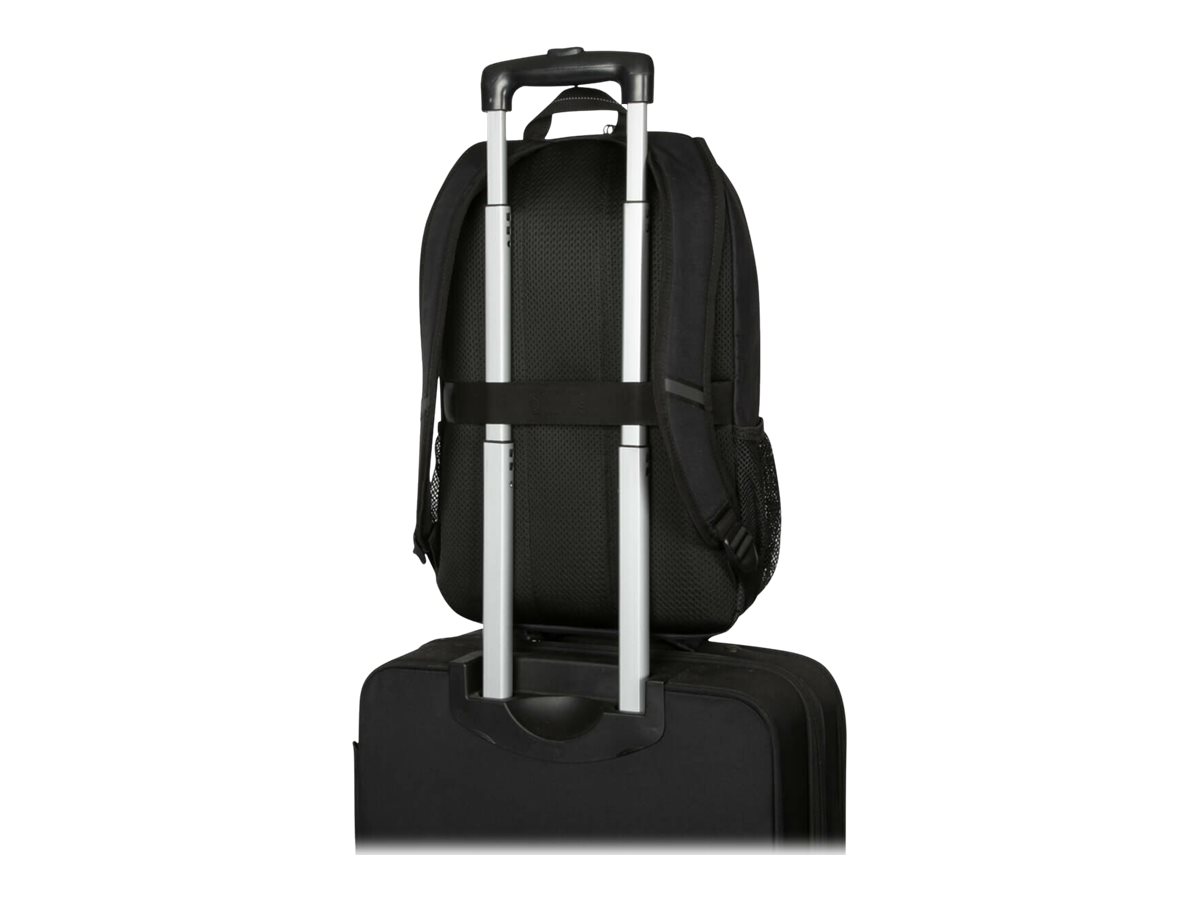 CCS Product Image (Back/1200 x 900)