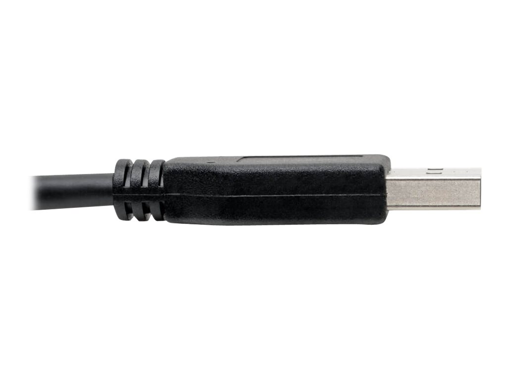 CCS Product Image (Close-up/1024 x 768)