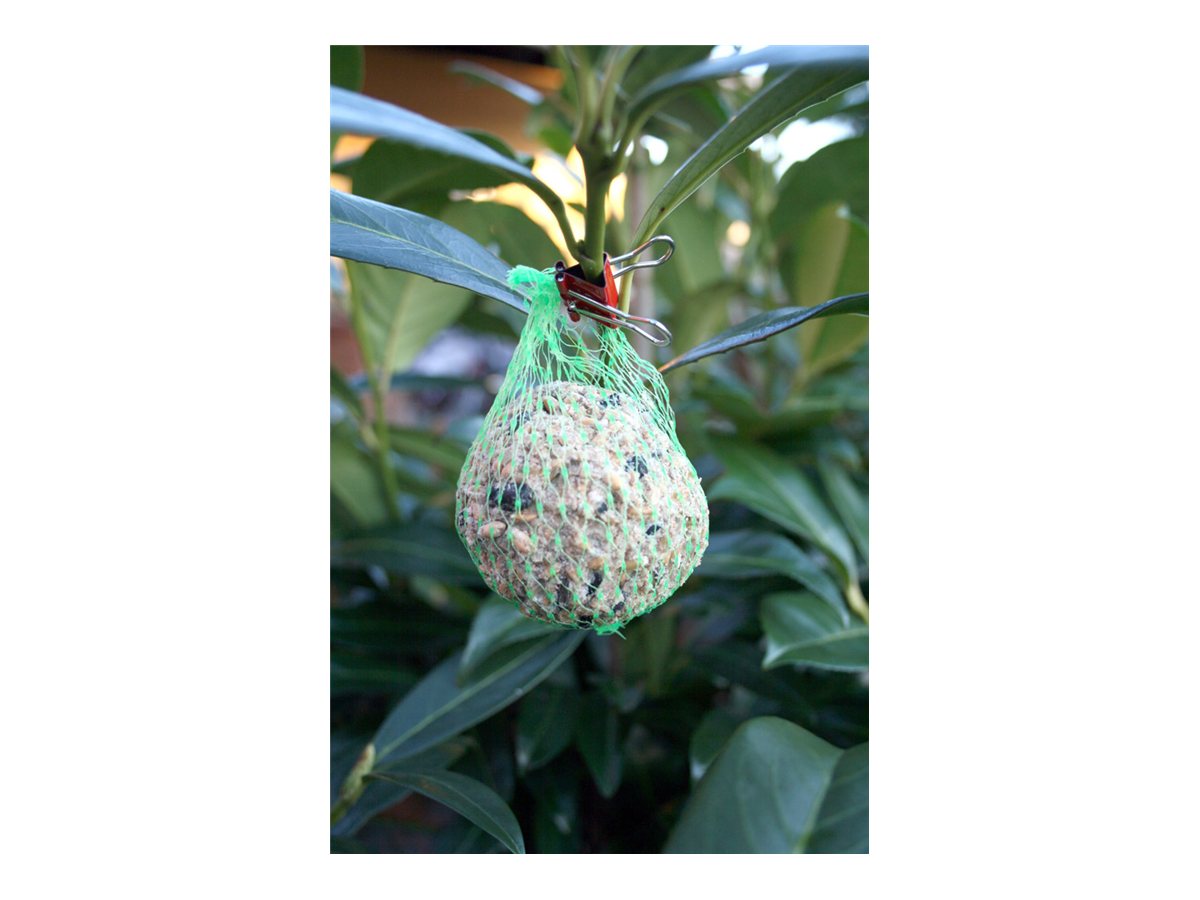 CCS Product Image (Right side/1200 x 900)