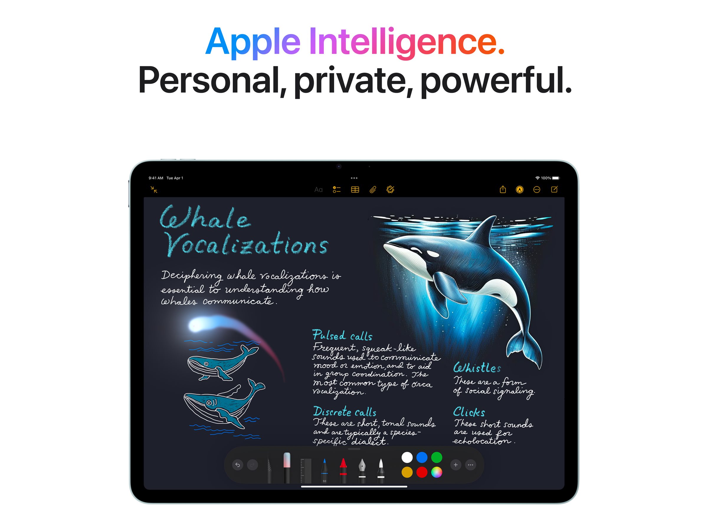 CCS Product Image (Front/2400 x 1800)