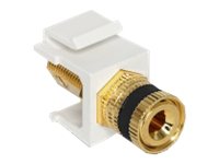 CCS Product Image (Left-angle/200 x 150) CCS Product Image (Left-angle/200 x 150)