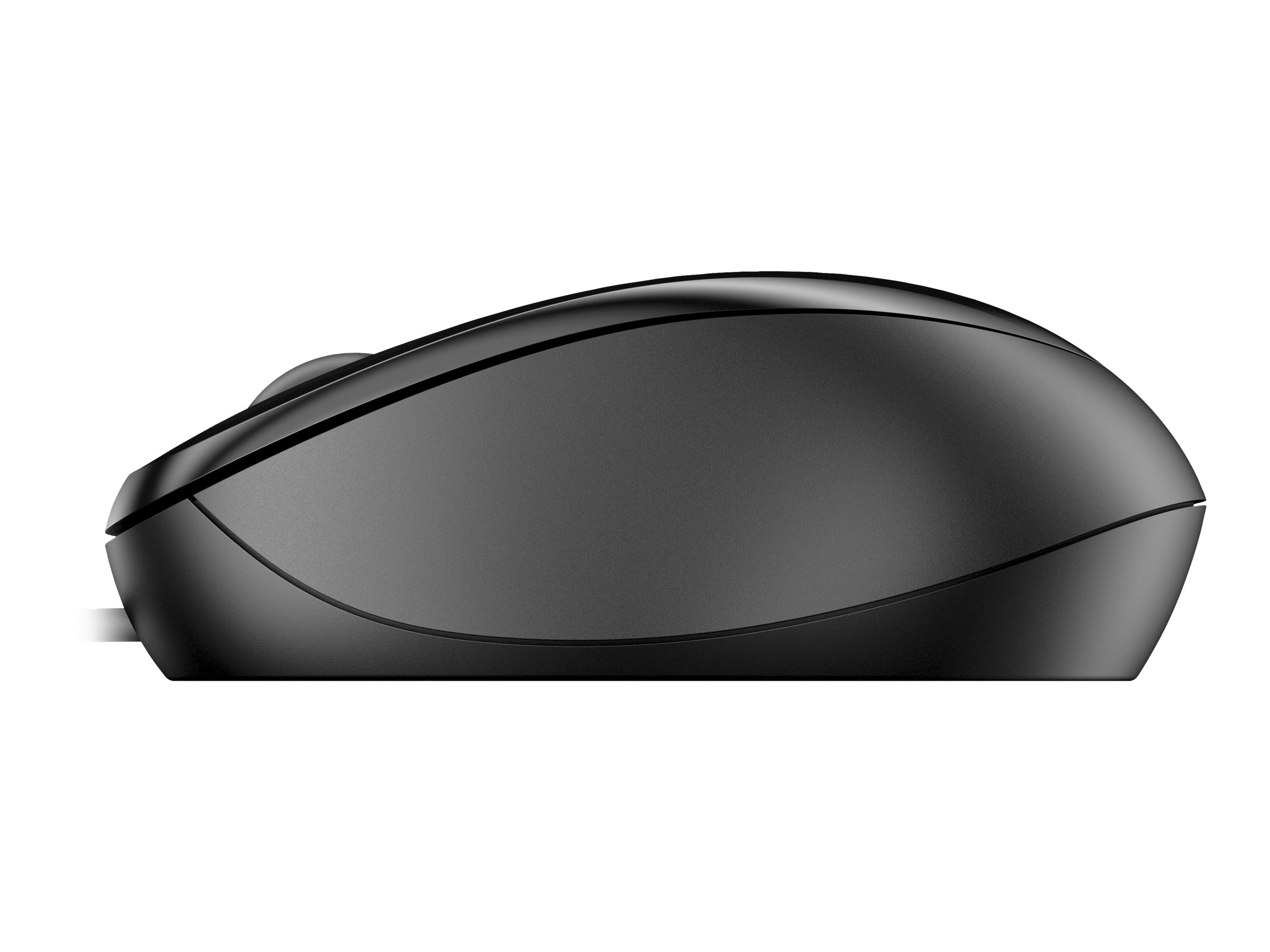 CCS Product Image (Right side/2400 x 1800)