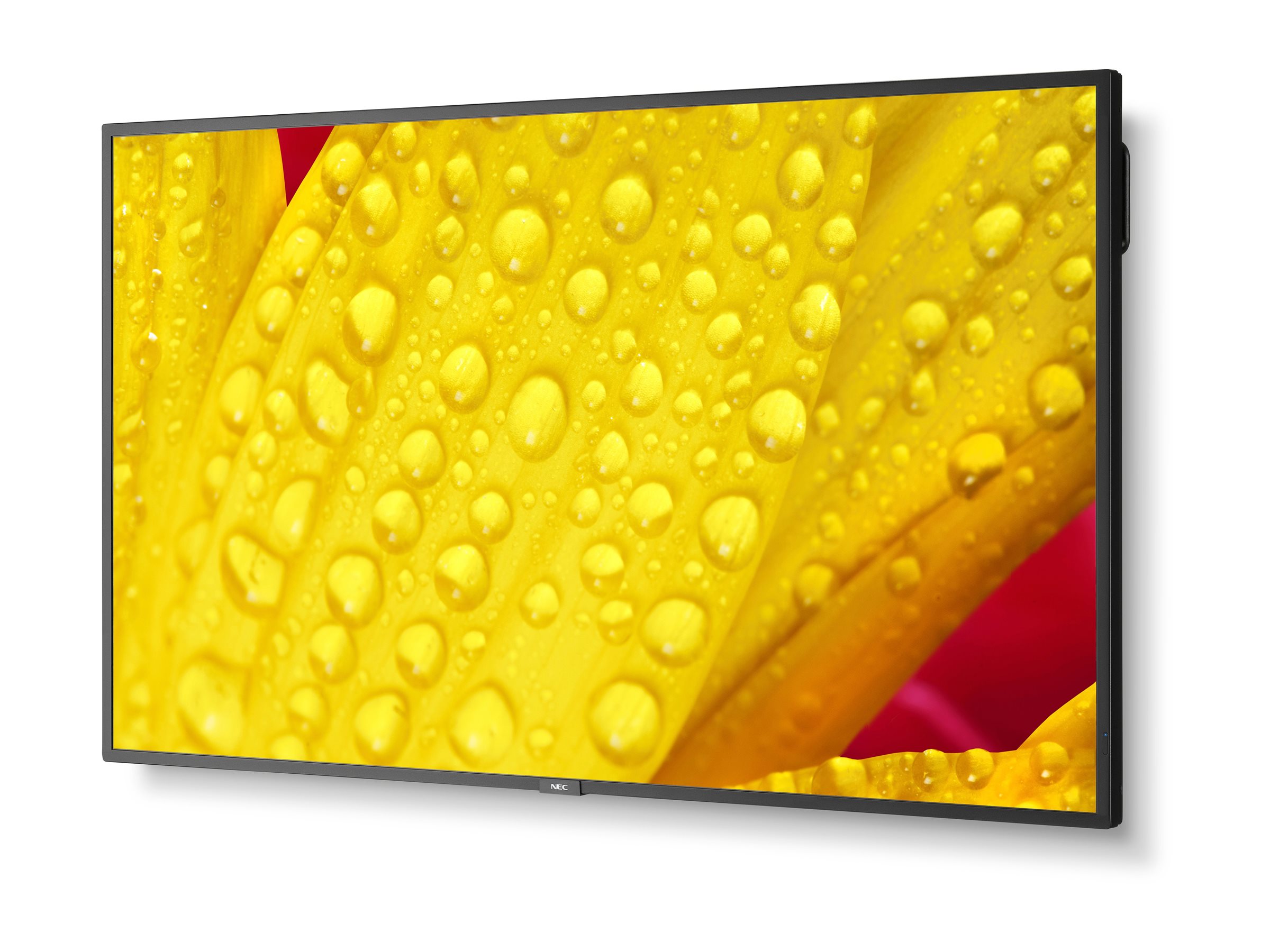 CCS Product Image (Right-angle/2400 x 1800)