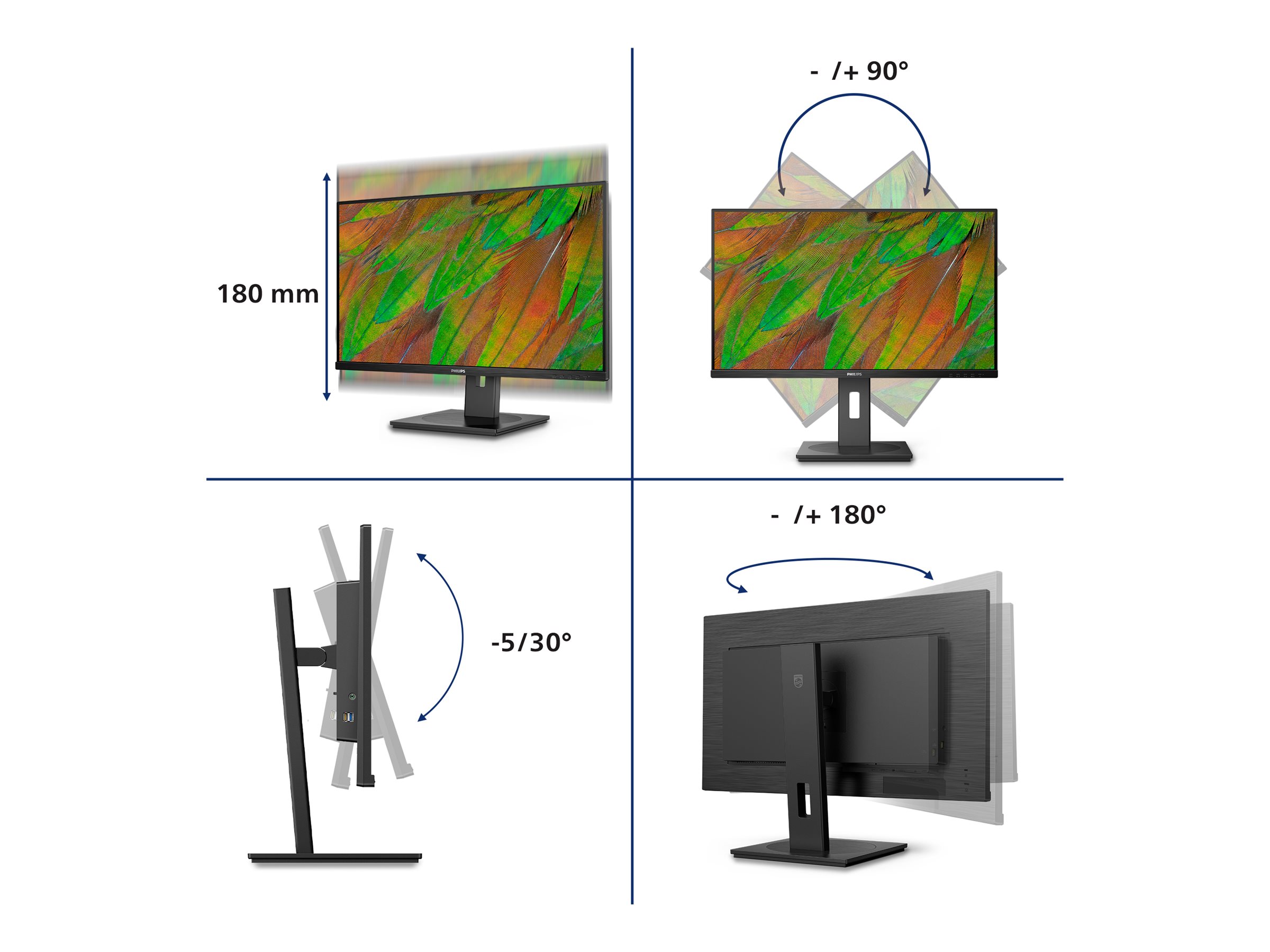 CCS Product Image (Multi-angle/2400 x 1800)