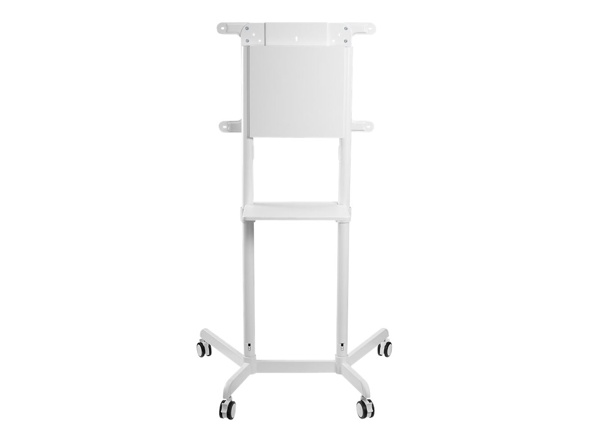 CCS Product Image (Back/1200 x 900)