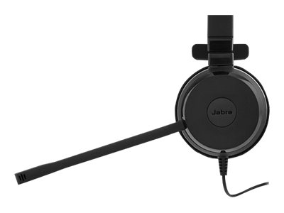 CCS Product Image (Close-up/400 x 300)