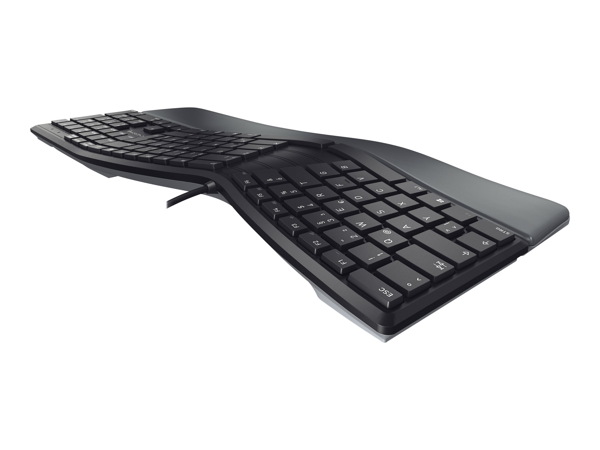 CCS Product Image (Left-angle/2400 x 1800)