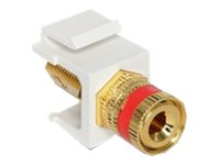 CCS Product Image (Left-angle/200 x 150) CCS Product Image (Left-angle/200 x 150)