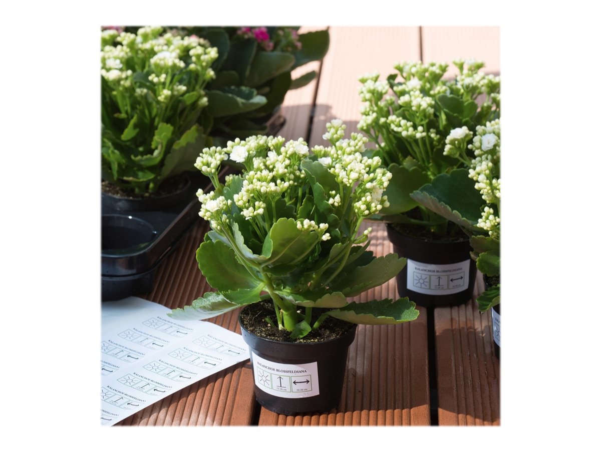 CCS Product Image (Multi-angle/1200 x 900)