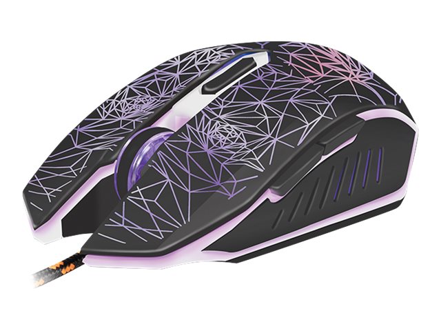 CCS Product Image (Left-angle/640 x 480)