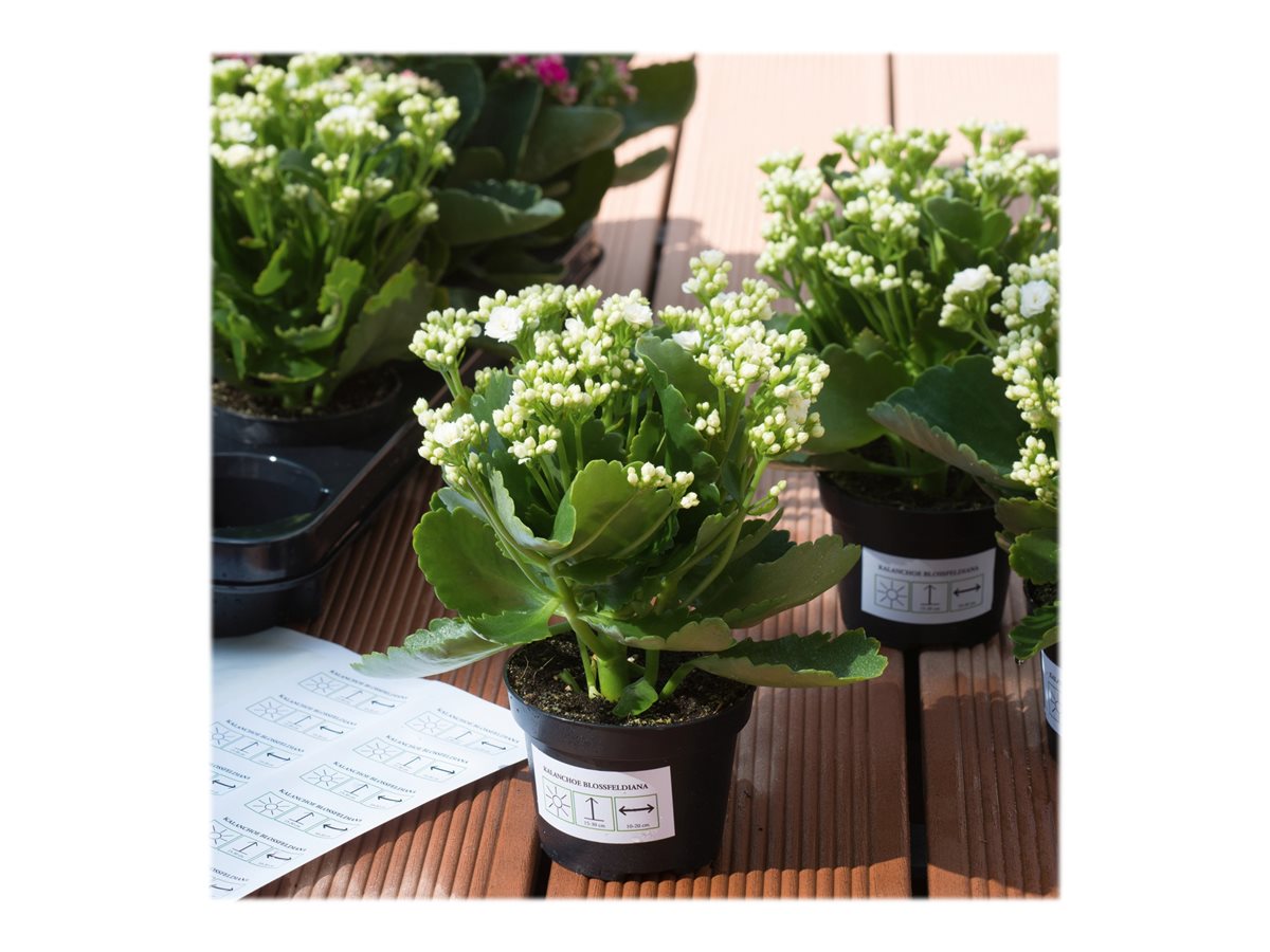 CCS Product Image (Multi-angle/1200 x 900)