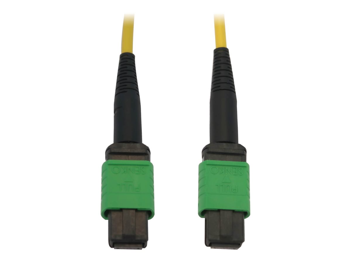 CCS Product Image (Front/1200 x 900)