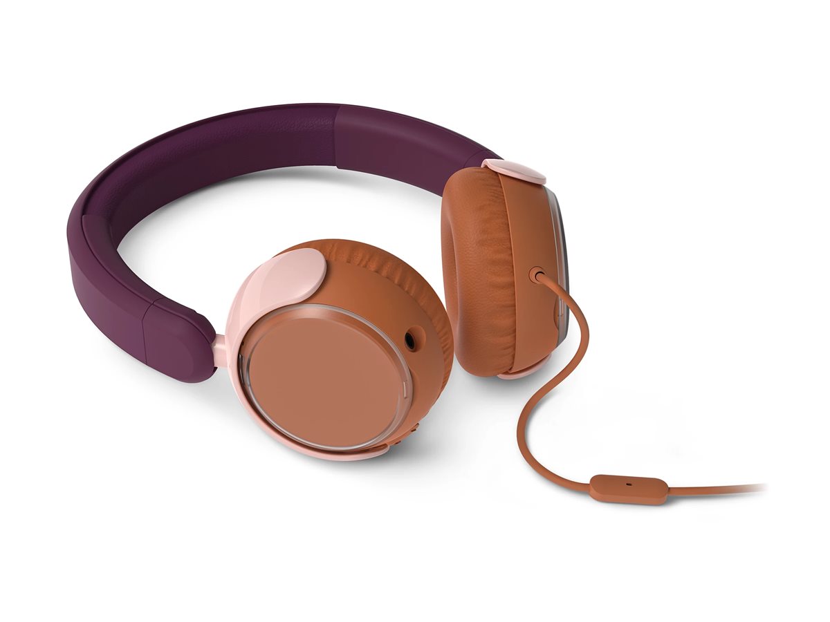 CCS Product Image (Left-angle/1200 x 900)