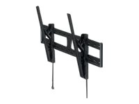 CCS Product Image (Right-angle/200 x 150)