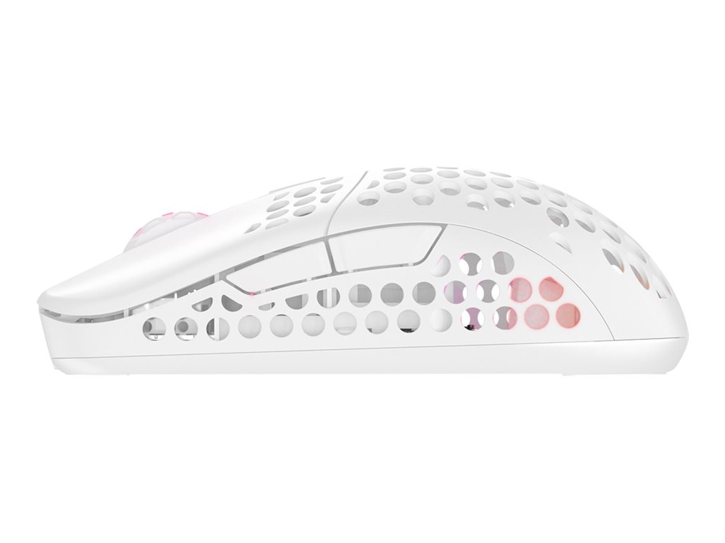 CCS Product Image (Left side/1024 x 768)