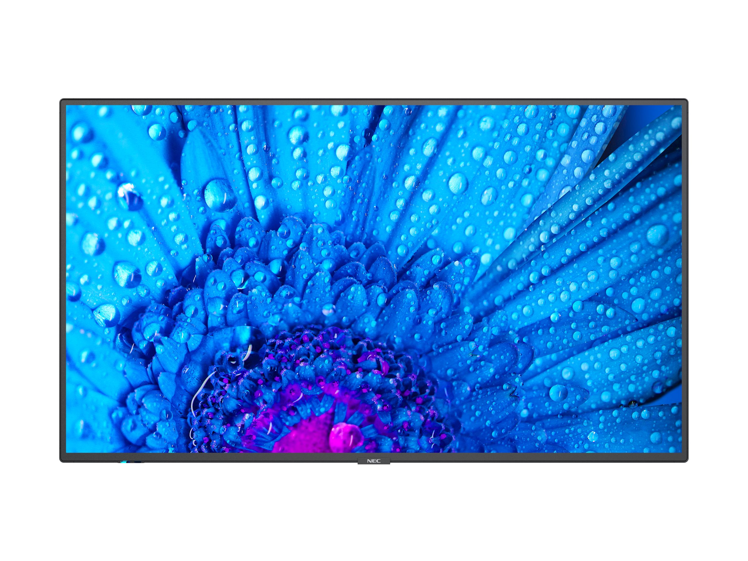 CCS Product Image (Front/2400 x 1800)