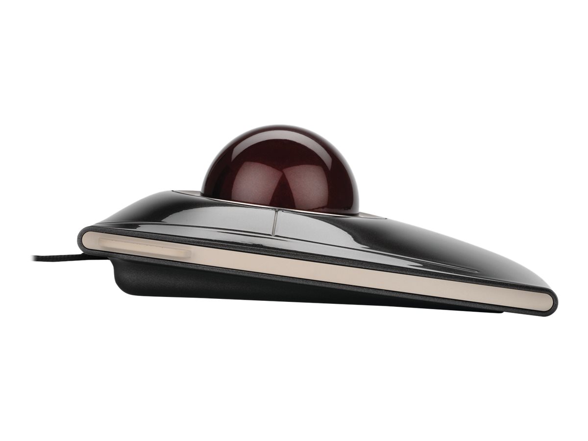 CCS Product Image (Left side/1200 x 900) CCS Product Image (Left side/1200 x 900)