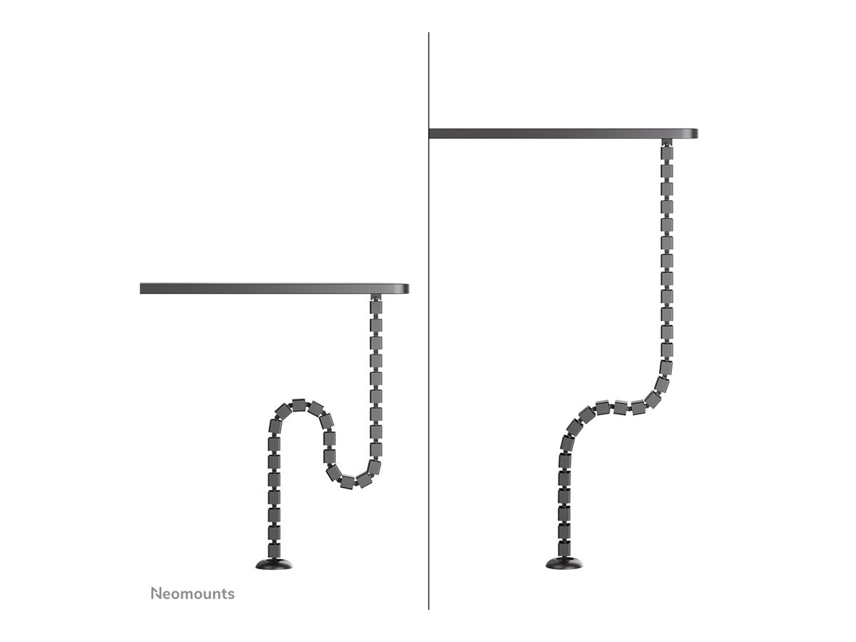 CCS Product Image (Left side/1200 x 900)