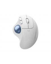 ITS - https://shopmanager.future-x.de/images/products/6/its-19176536.jpg
