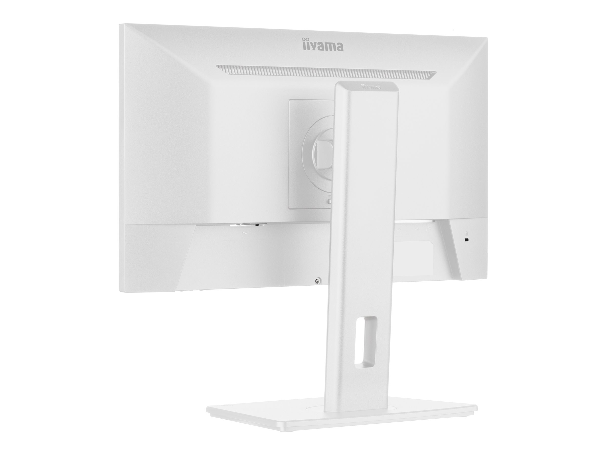 CCS Product Image (Back/2400 x 1800)