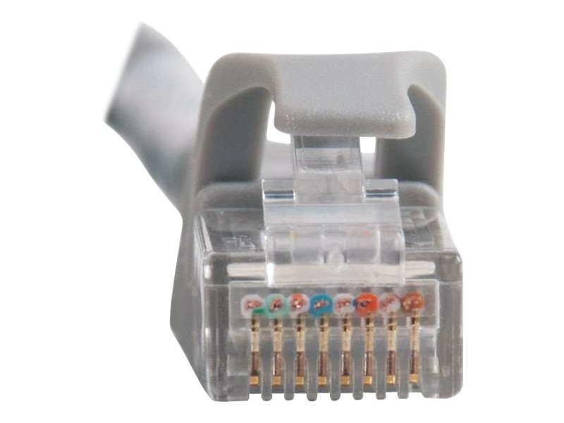 CCS Product Image (Close-up/800 x 600)