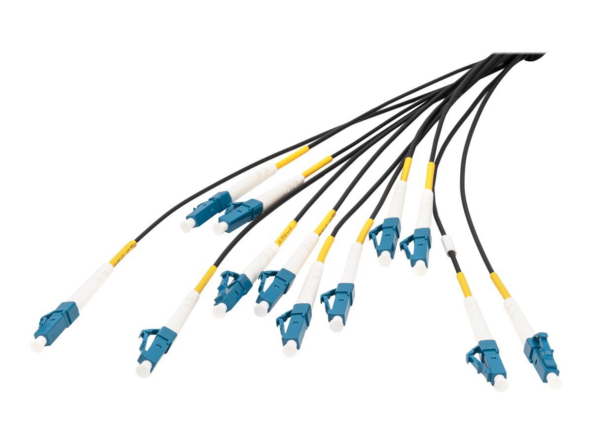 CCS Product Image (Close-up/1200 x 900)