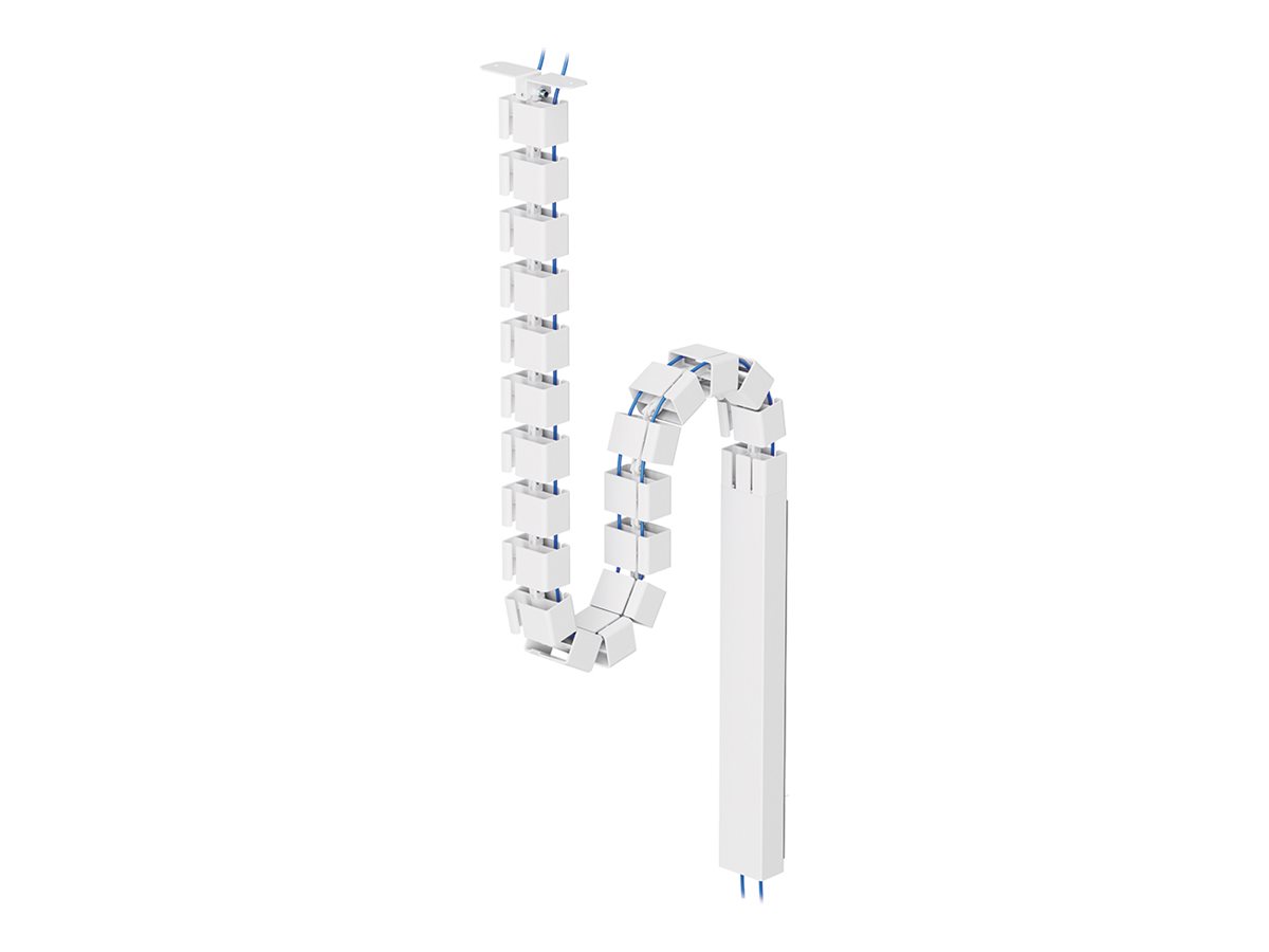 CCS Product Image (Right-angle/1200 x 900)