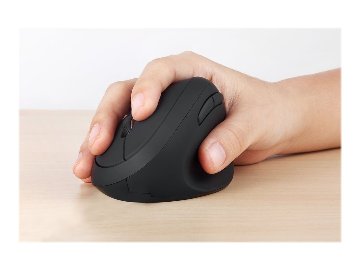CCS Product Image (Back/1200 x 900)