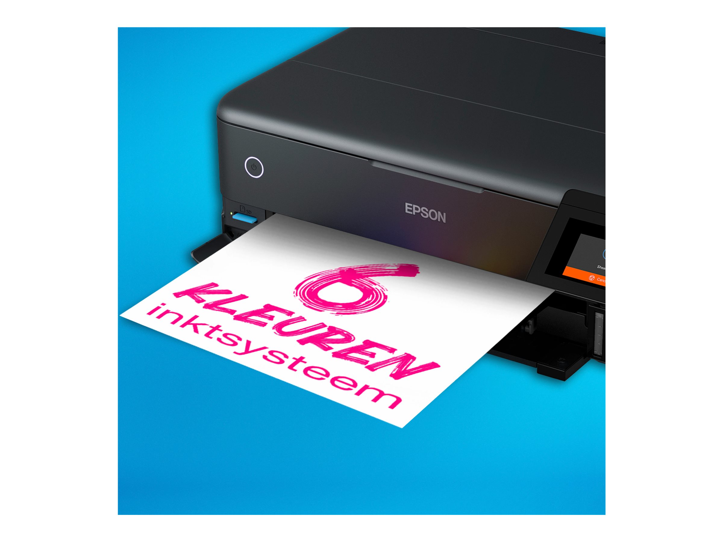 CCS Product Image (Close-up/2400 x 1800) CCS Product Image (Close-up/2400 x 1800)