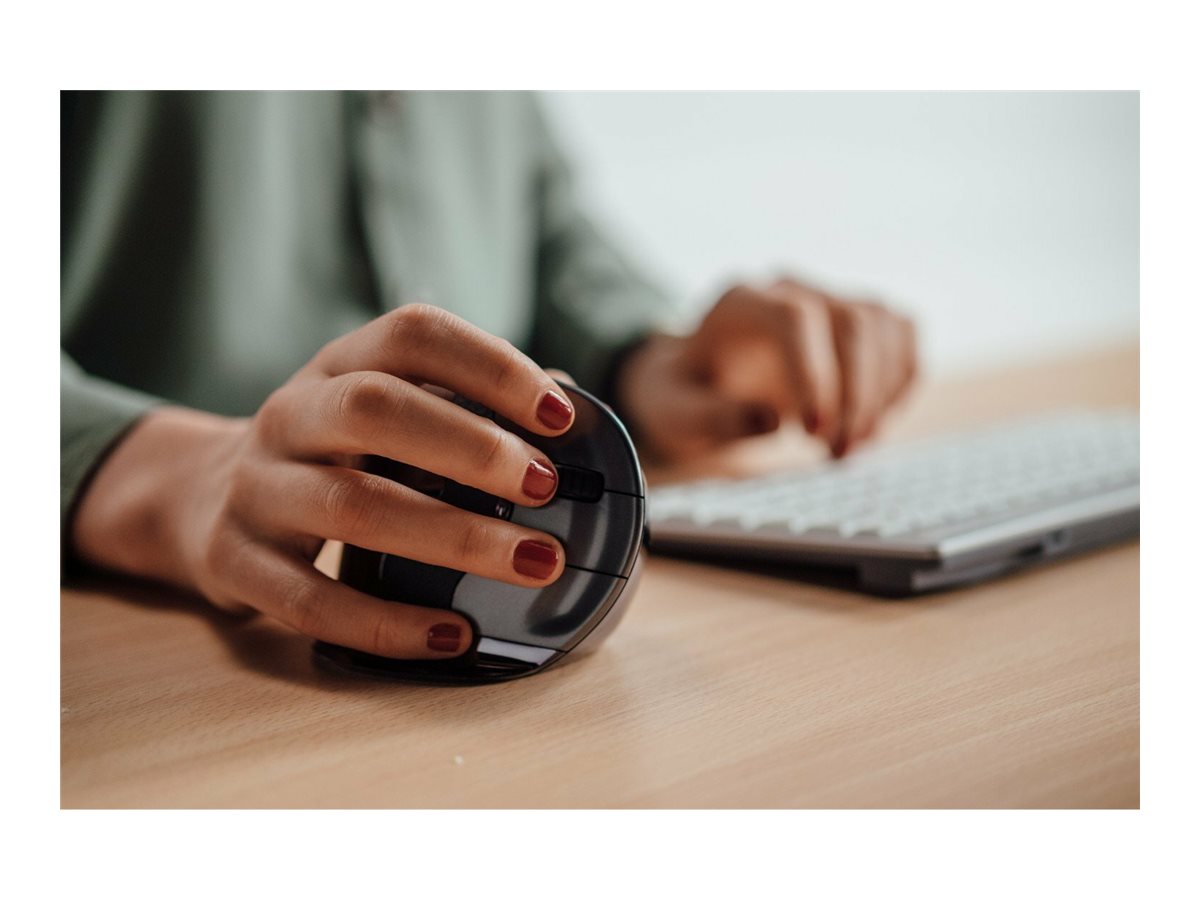 CCS Product Image (Left-angle/1200 x 900)