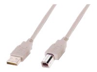 CCS Product Image (Right-angle/200 x 150)