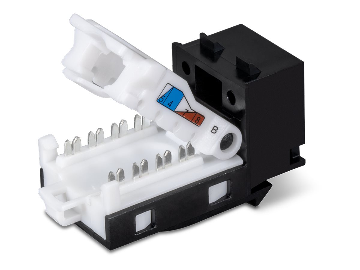 CCS Product Image (Back/1200 x 900)