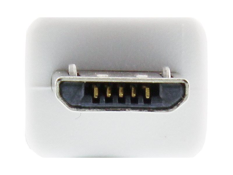 CCS Product Image (Close-up/800 x 600)