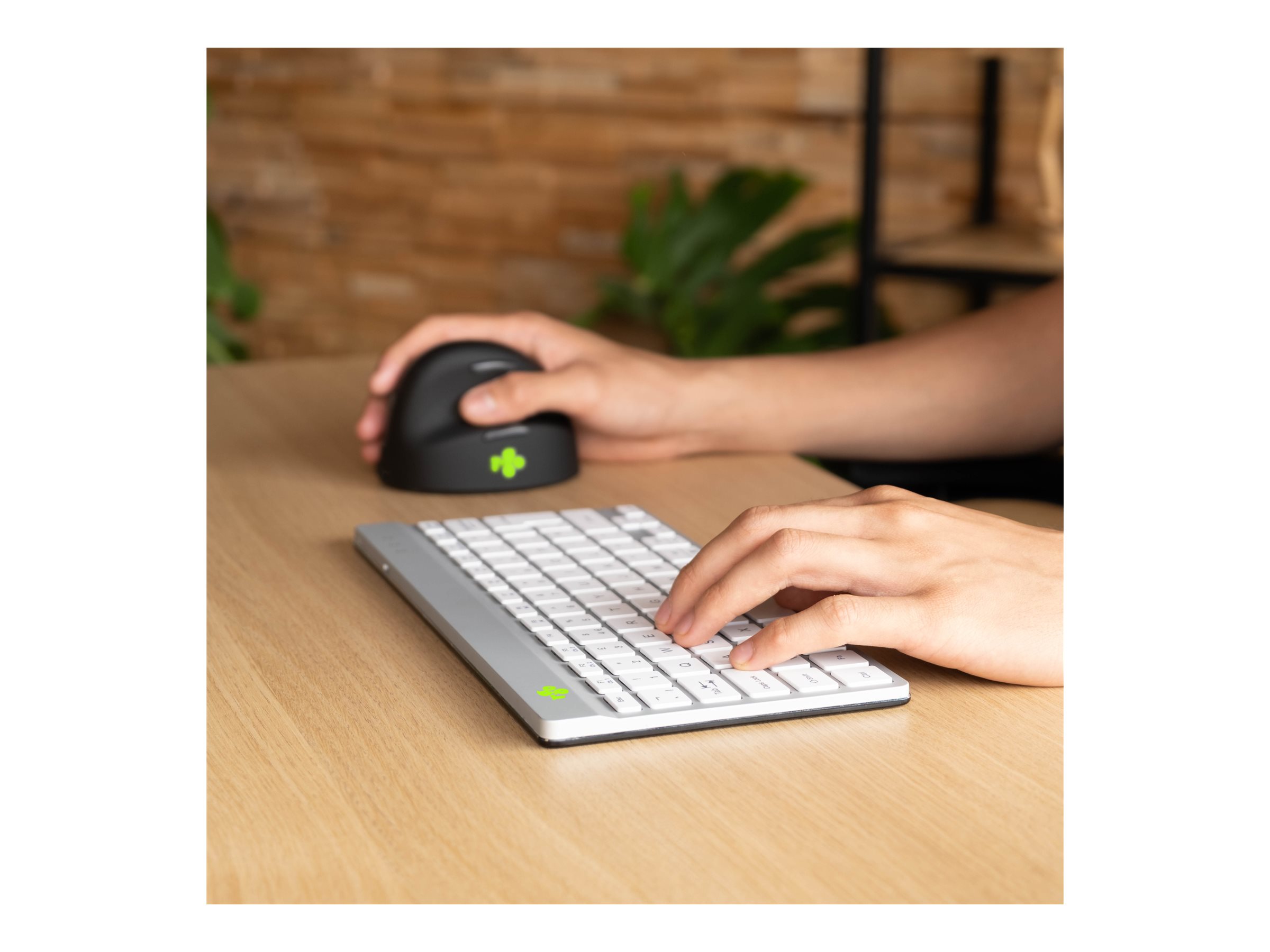 CCS Product Image (Left-angle/2400 x 1800)