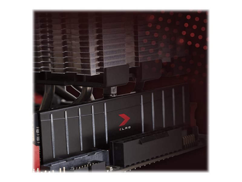 CCS Product Image (Left-angle/800 x 600)