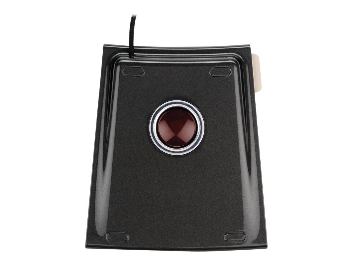 CCS Product Image (Bottom/1200 x 900) CCS Product Image (Bottom/1200 x 900)