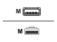 CCS Product Image (Front/200 x 150)