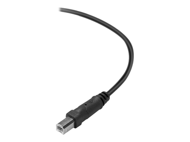 CCS Product Image (Close-up/800 x 600)