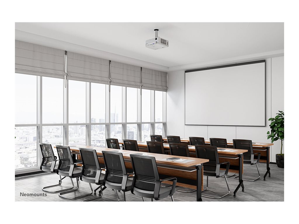 CCS Product Image (Back/1024 x 768)