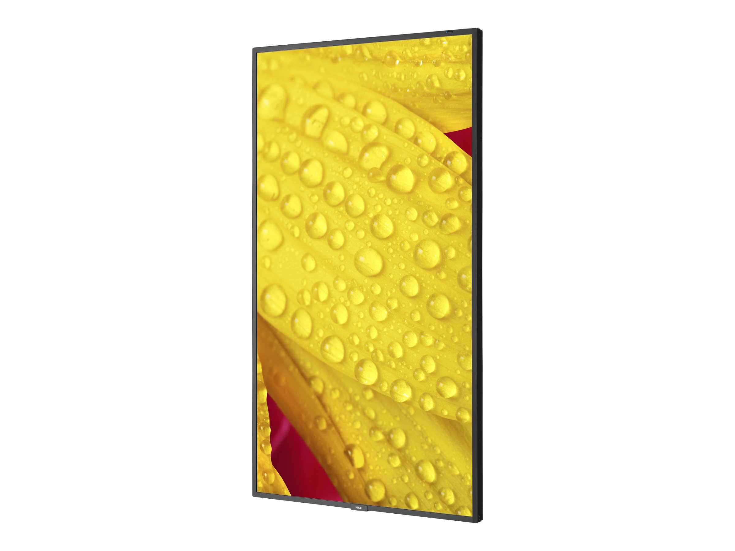 CCS Product Image (Right-angle/2400 x 1800)
