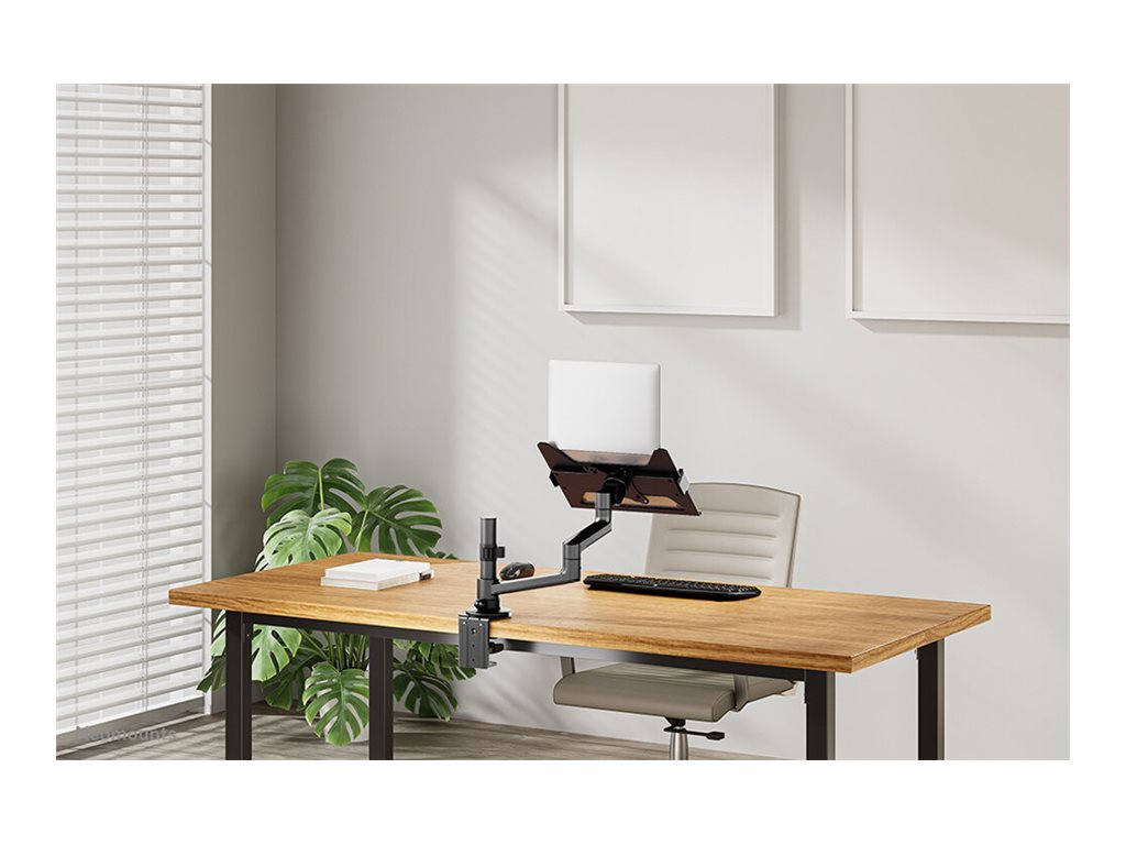 CCS Product Image (Back/1024 x 768)