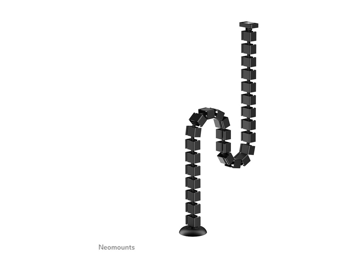 CCS Product Image (Back/1200 x 900)