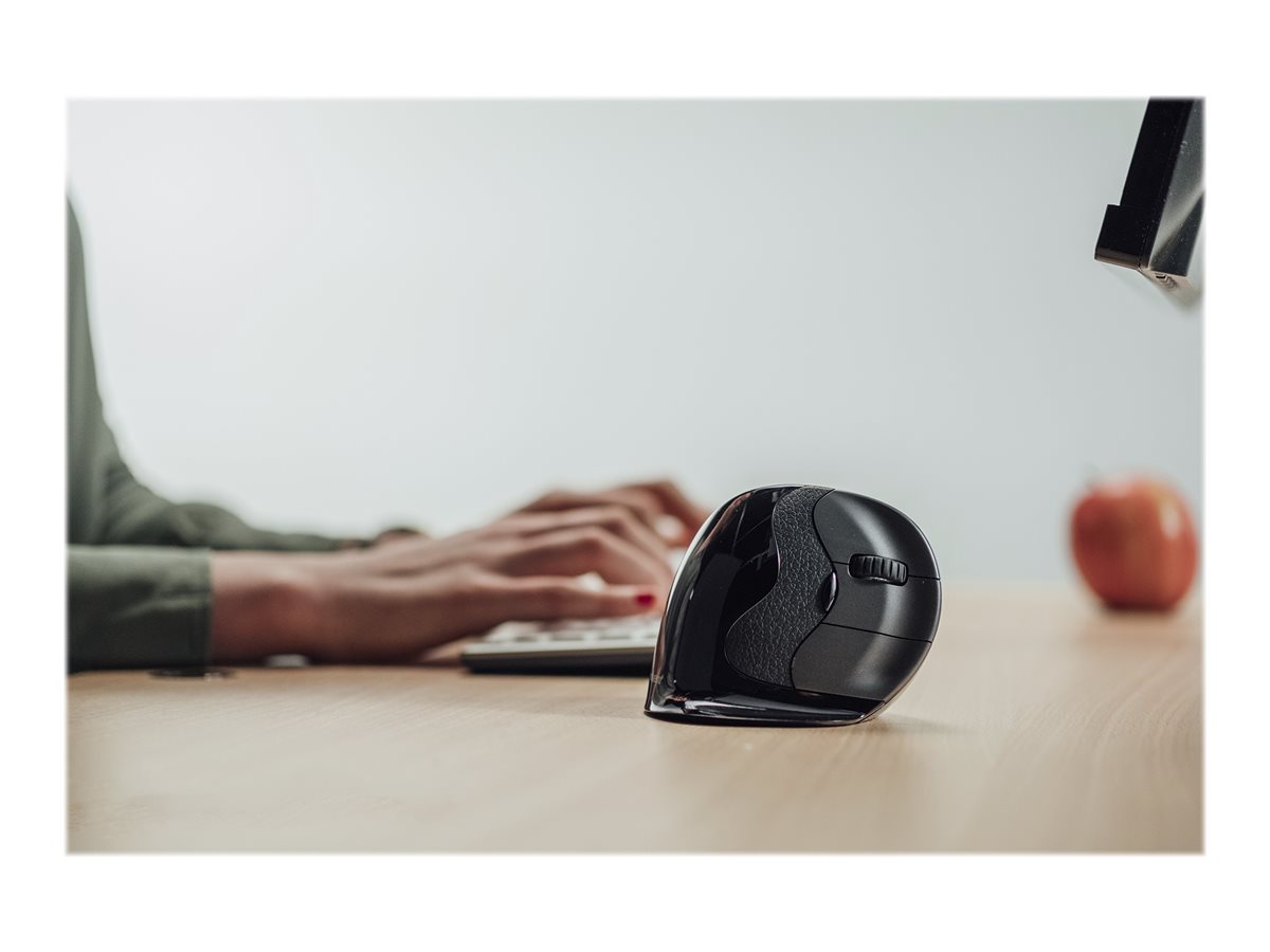 CCS Product Image (Back/1200 x 900)