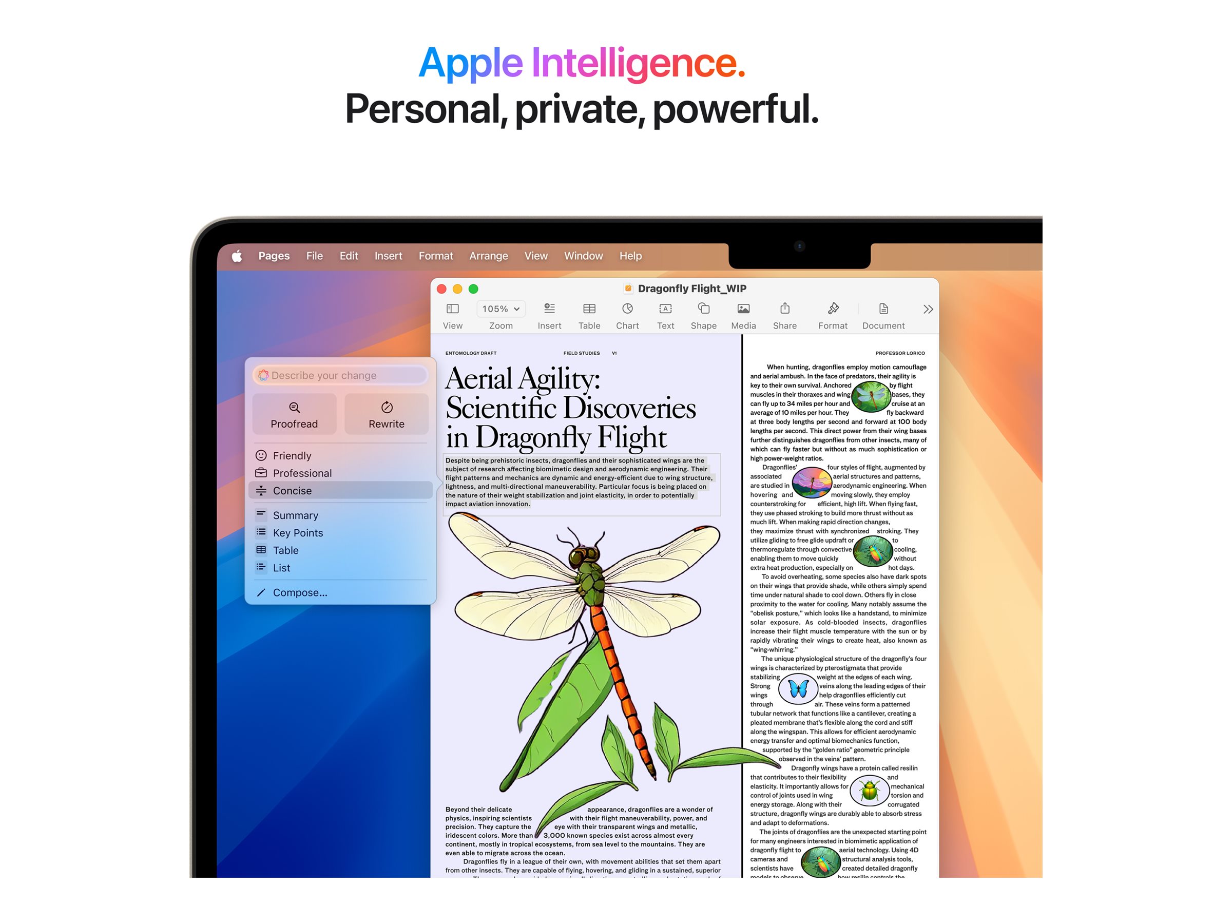 CCS Product Image (Close-up/2400 x 1800) CCS Product Image (Close-up/2400 x 1800)