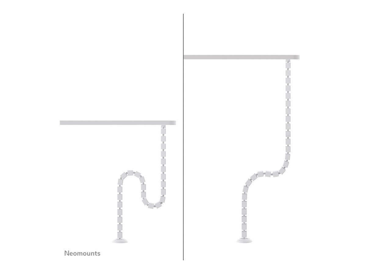 CCS Product Image (Left side/1200 x 900)
