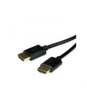 ITS - https://shopmanager.future-x.de/images/products/6/its-19972876.jpg