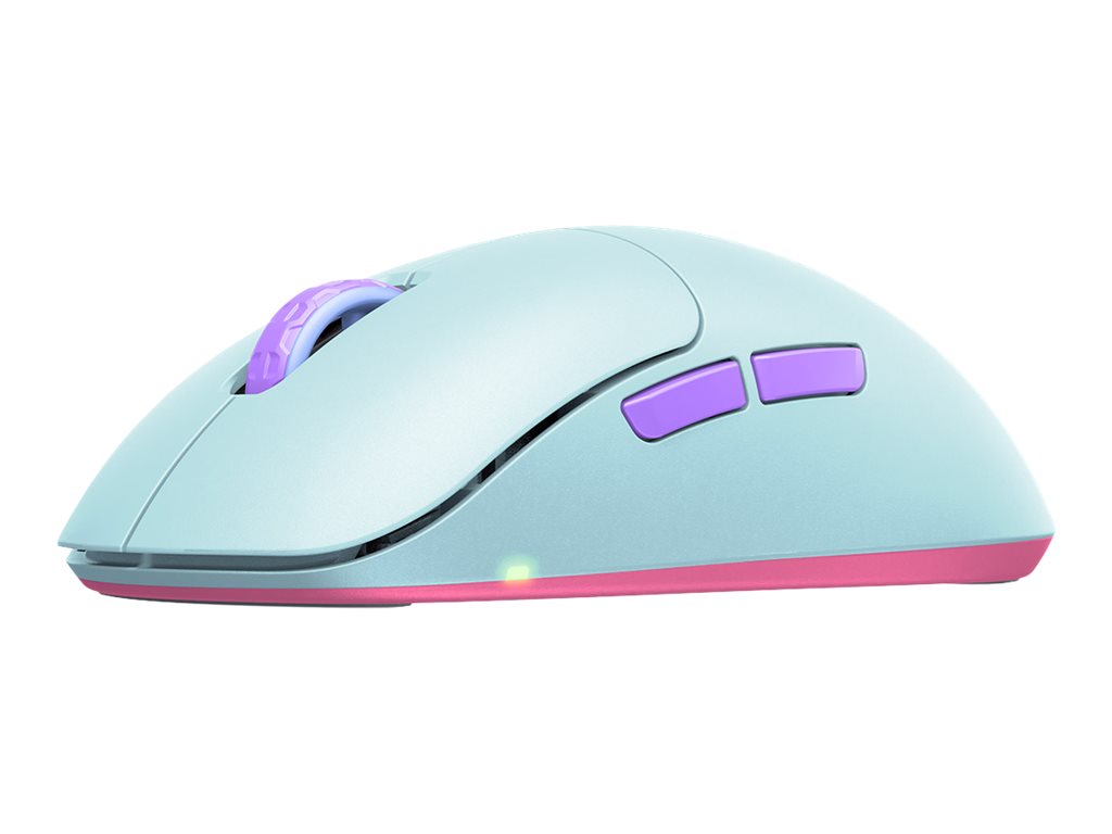 CCS Product Image (Right-angle/1024 x 768)