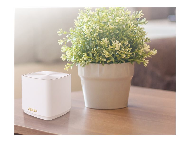 CCS Product Image (Right-angle/800 x 600)