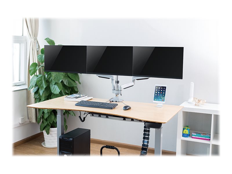 CCS Product Image (Right-angle/800 x 600)